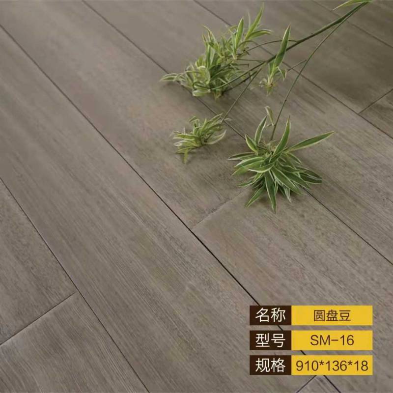 圆盘豆SM-16