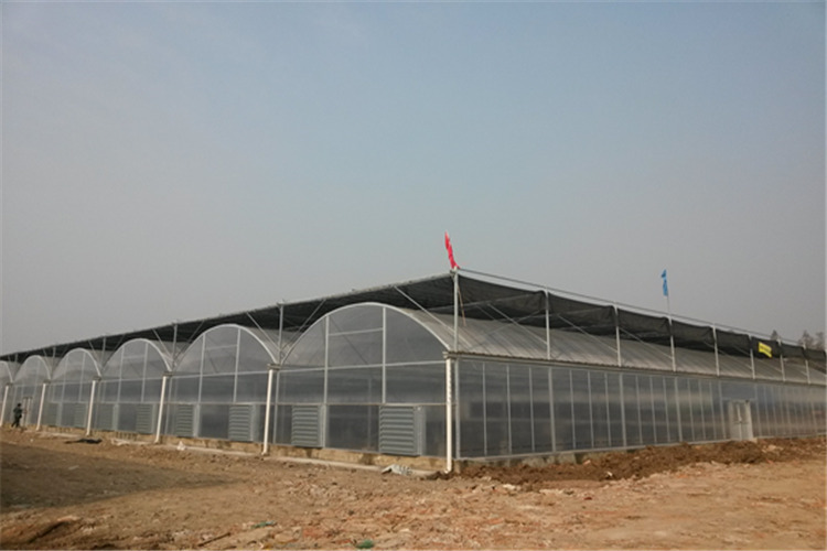 贵阳农业温室大棚