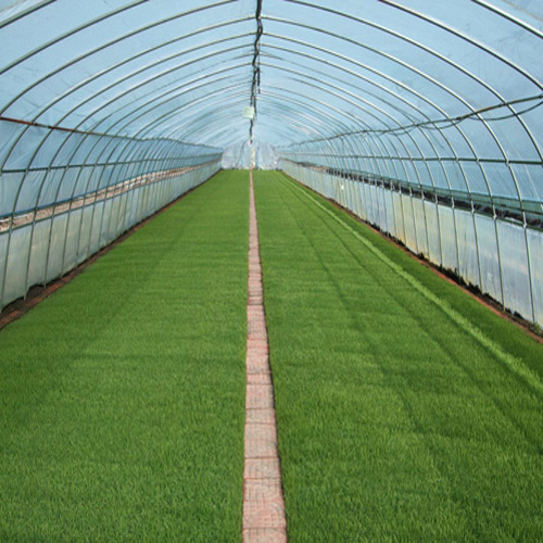 贵州农业温室大棚