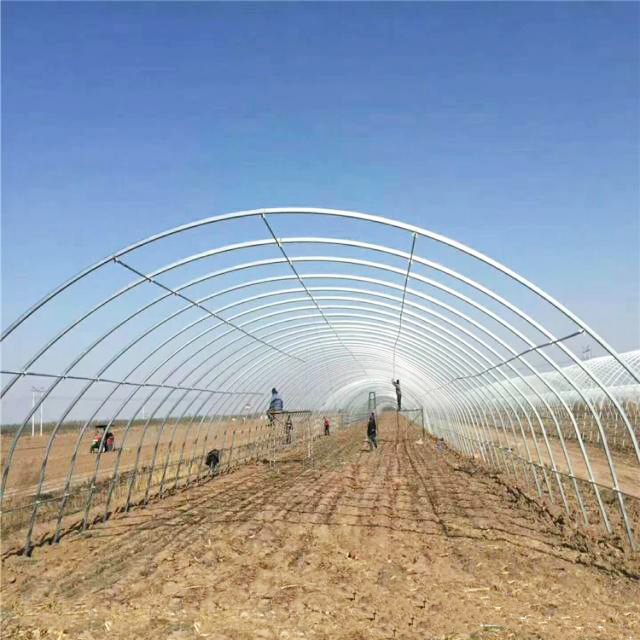 贵州蔬菜温室大棚定制