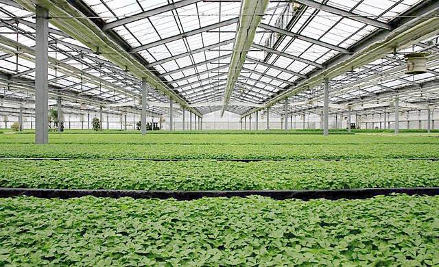 贵州蔬菜温室大棚采暖定制